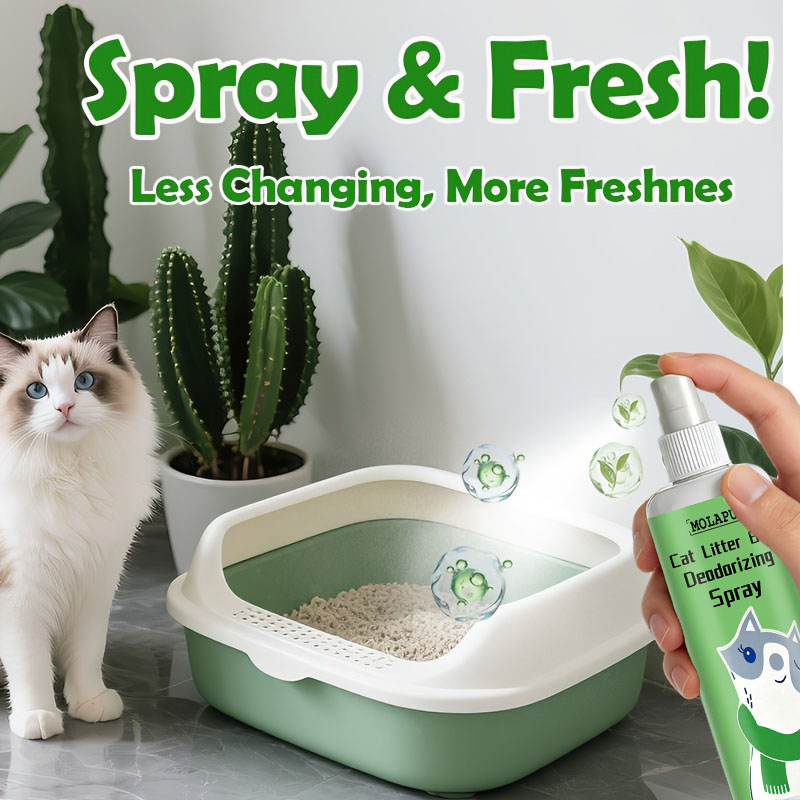 Spray dezodoryzujący do kuwet  – Home Bathroom With Urinal recenzja i cena